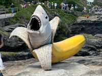 雪梨海岸藝術饗宴：Sculpture by the Sea
