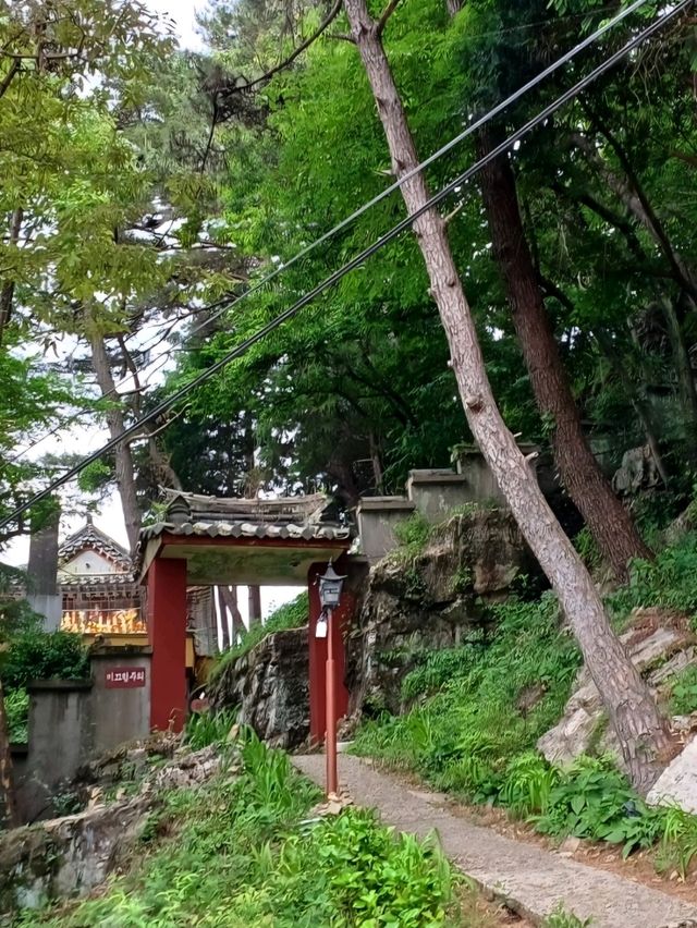 숲길과 바다가 함께하는 금동 약사여래의 고요한 쉼터