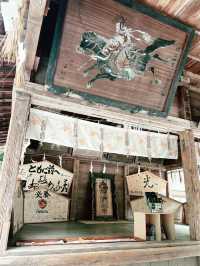 仙台　国宝・大崎八幡宮へ行くべき五つの理由🇯🇵✈️🌎 