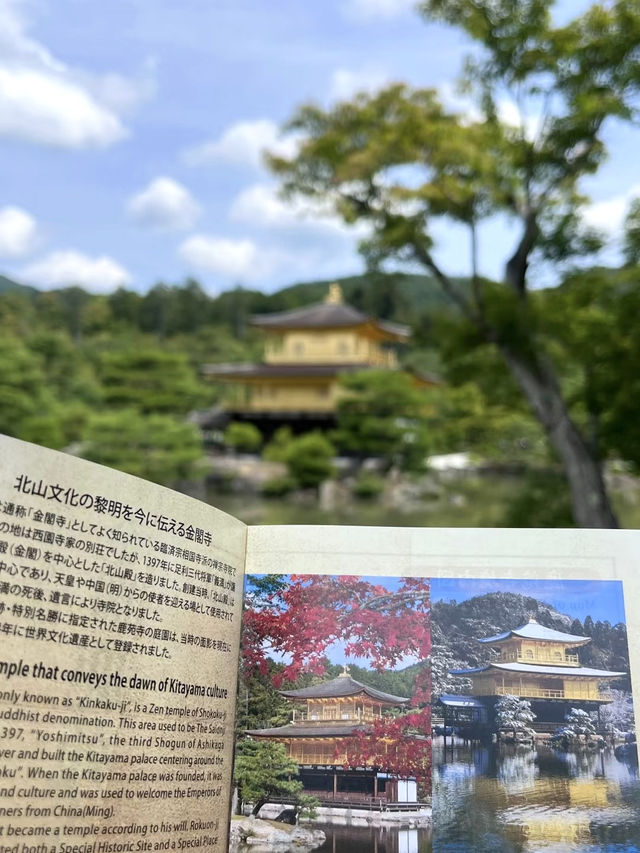 大阪金閣寺 💕 燃燒在文字與現實間的幻美