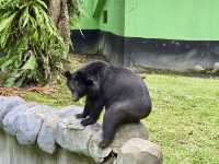 Zoo Negara