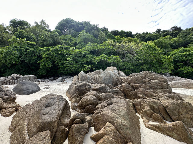 Sea sun serenity
