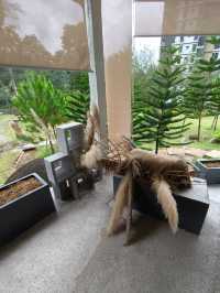 Breathe Deep and Relax – Nature Meets Cafe at Genting
