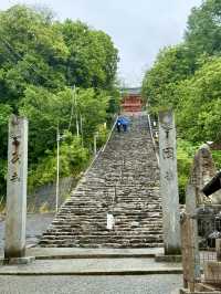 Jetstar Japan – The Best Way to Travel Cheaply Within Japan
