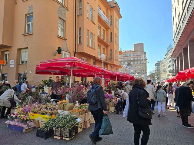 Dolac Market Zagreb