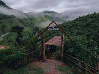 น่านหน้าฝนสวยหนักมาก 🌿