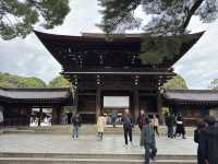 ⛩️ Shrine Among the Trees: Meiji Jingu’s Beauty Meets Tokyo’s Buzz 🌲