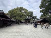 ⛩️ Shrine Among the Trees: Meiji Jingu’s Beauty Meets Tokyo’s Buzz 🌲