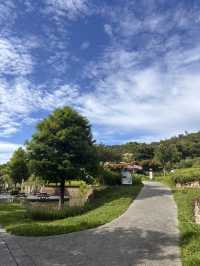 🍃 桃園大有梯田公園簡介