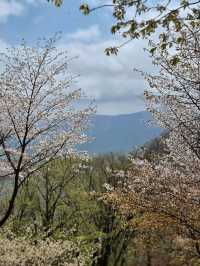 Red Mountain in Muju