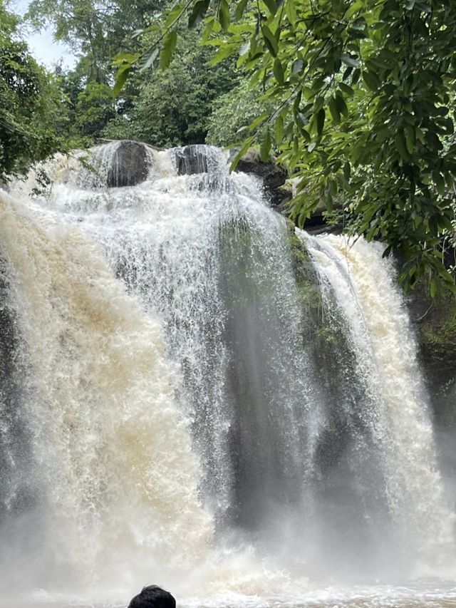Khao Yai Adventure: 🐘 🍉🍕