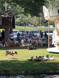 ชมโชว์สัตว์ที่ the scenery vintage farm ราชบุรี