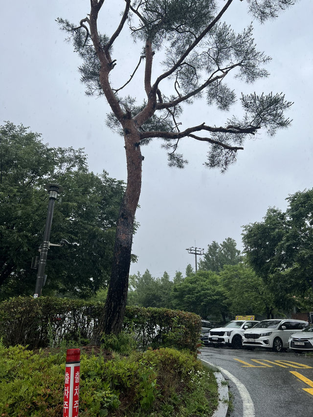 일자산 도시 자연공원