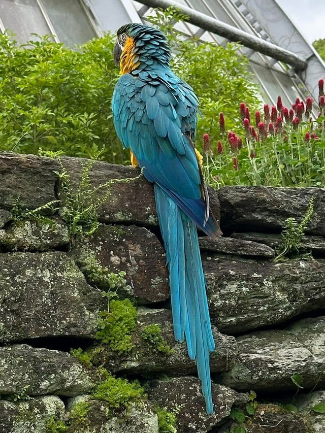 長崎Bio park- 教育與感動兼具的動物園