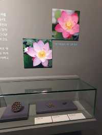 연인과 나눈 고요한 유물 데이트