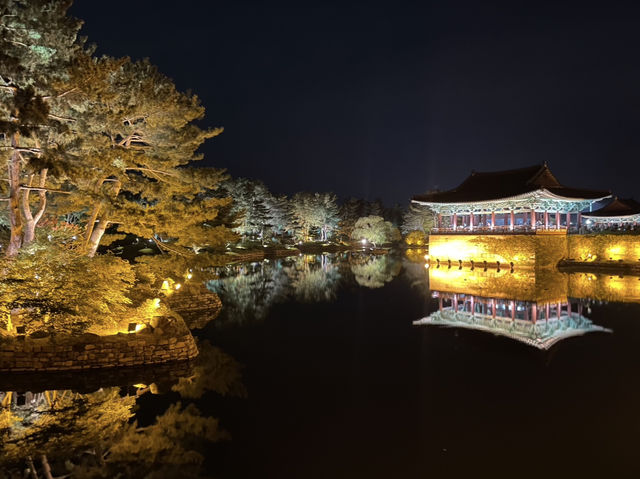 경주, 고즈넉한 야경과 바다까지 한 번에🌙🌊