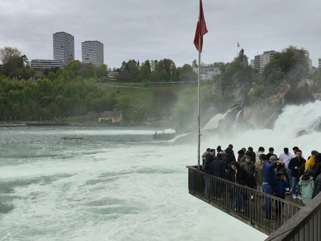 Exploring Rhine Falls from Zurich: Your Essential Guide! 🇨🇭💦