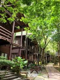 🍃✨ Philea Resort & Spa Melaka – Forest Feels with a Touch of Luxury! 🏡🌿
