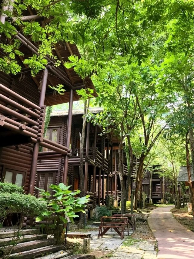 🍃✨ Philea Resort & Spa Melaka – Forest Feels with a Touch of Luxury! 🏡🌿