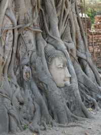 วัดมหาธาตุ