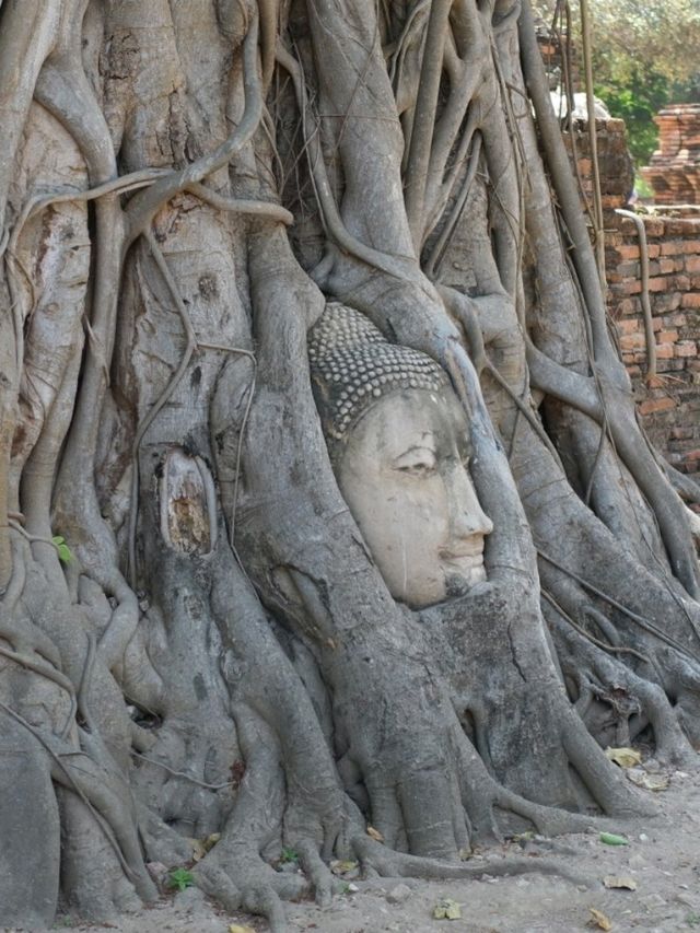 วัดมหาธาตุ
