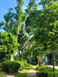 The blooming flora of Bukit Batok Town Park