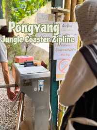 Pongyang junkle coaster zipline