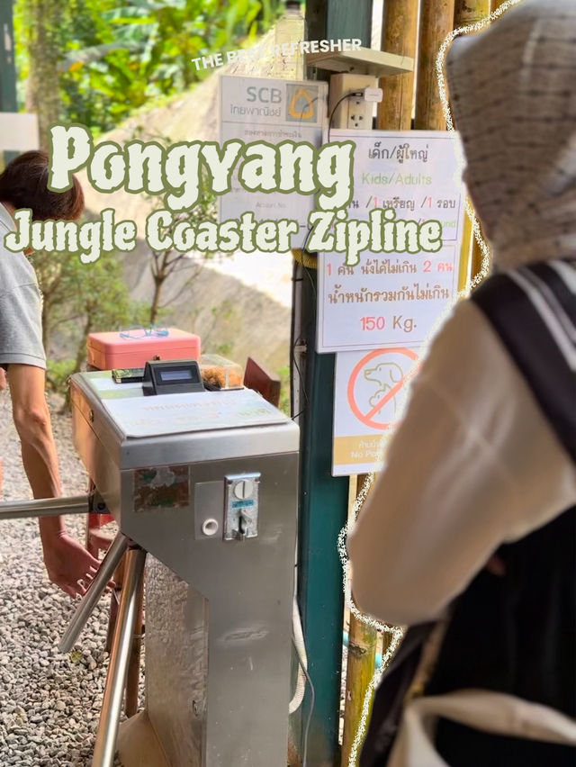 Pongyang junkle coaster zipline