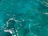 【日本にもあった！三重の“青の洞窟”で神秘の海体験】