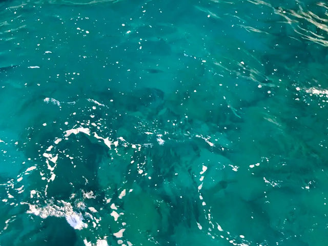 【日本にもあった！三重の“青の洞窟”で神秘の海体験】