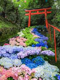【静寂と縁結びの聖地⛩️尾高観音で心を整える癒し旅】