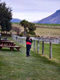 Sky-High Thrills: Unforgettable Adventure with Nzone Skydive Queenstown
