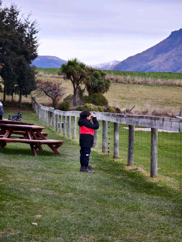 Sky-High Thrills: Unforgettable Adventure with Nzone Skydive Queenstown