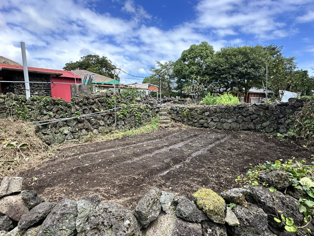 🏡一腳踏進濟州古代生活現場！《城邑民俗村》：這不只是村落，是一座活著的歷史博物館！🌾⛰️