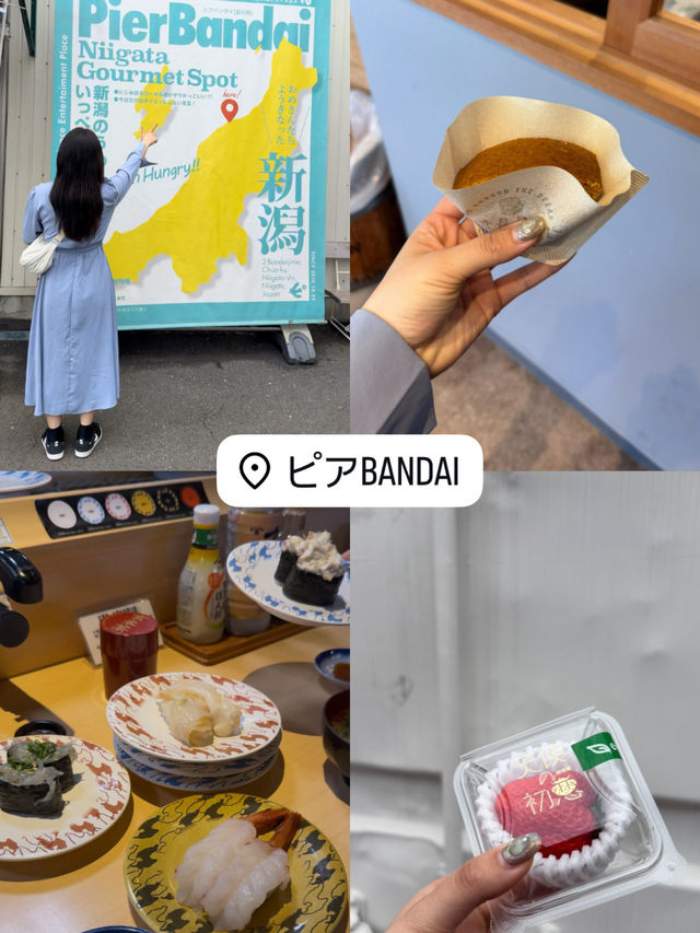 新潟のおすすめスポット紹介❗️