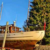 Sunset Serenade: Magical Moments at Lake Te Anau
