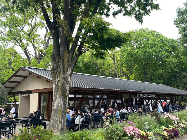 Why You Absolutely Must Explore Ueno Park in Tokyo! 🌳🐼🏛️