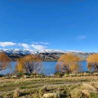 Halfway to Everywhere: Stunning Sights at Lake Dunstan and the 45th Parallel!
