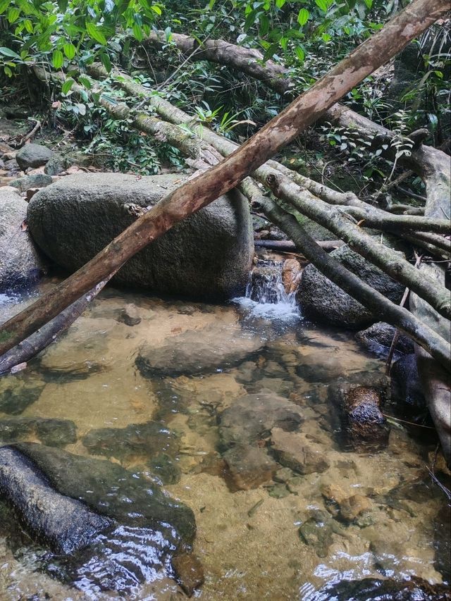 ⛰️ Conquer Nature at Kledang Hill Trail Head, Ipoh! 🌿