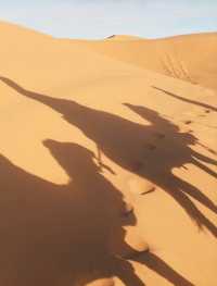 【サハラ砂漠🇲🇦】ラクダと砂漠と星空の旅🐪🌙