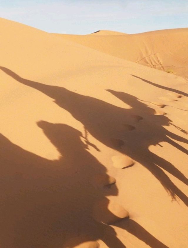 【サハラ砂漠🇲🇦】ラクダと砂漠と星空の旅🐪🌙