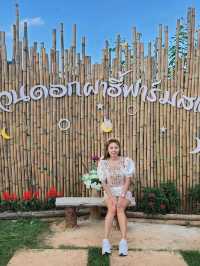 สะพานไม้ไผ่ผาฮี้ 