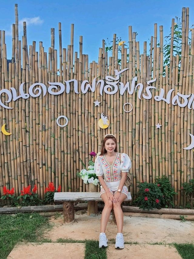 สะพานไม้ไผ่ผาฮี้ 