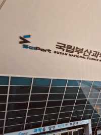 Busan National Science Museum: An Engaging Hub for Curiosity and Discovery