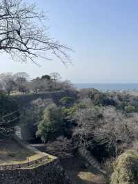 【滋賀/彦根】彦根城