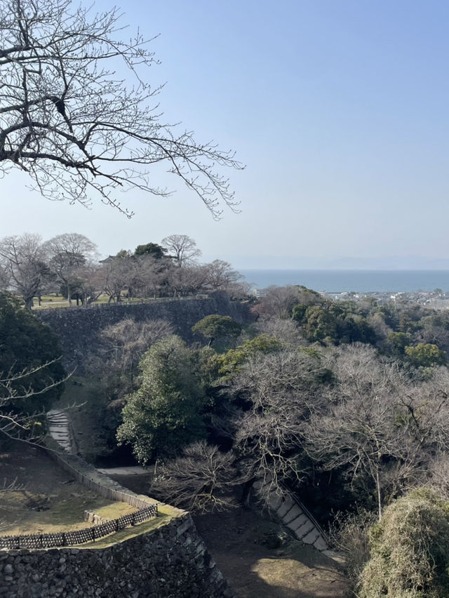 【滋賀/彦根】彦根城
