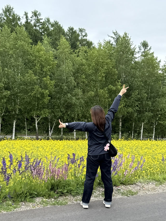 여름 홋카이도 추천 코스 🇯🇵