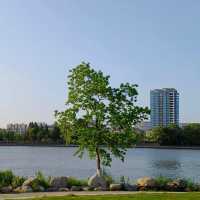 ～包河公園～綠樹成蔭
