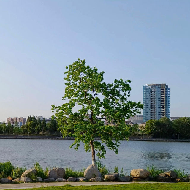 ～包河公園～綠樹成蔭