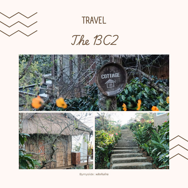 The BC2 ดอยช้าง เชียงราย 🌿🏕️
